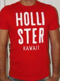 CAMISETA HOLLISTER TAMANHOS P - M - G - GG